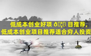 低成本创业好项 🦁 目推荐,低成本创业项目推荐适合穷人投资